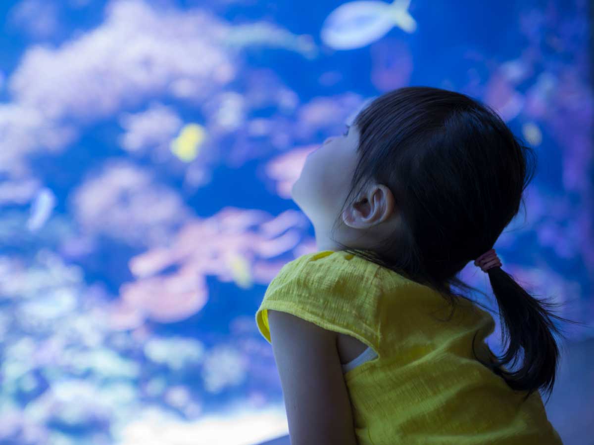 アクアリウムのサブ写真